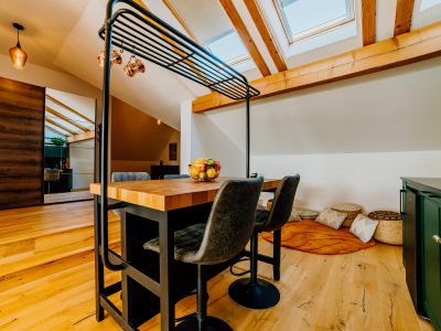 Telluride Apartment