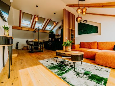 Telluride Apartment
